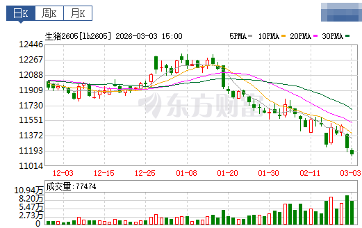 2026.03.05今天猪价行情分析