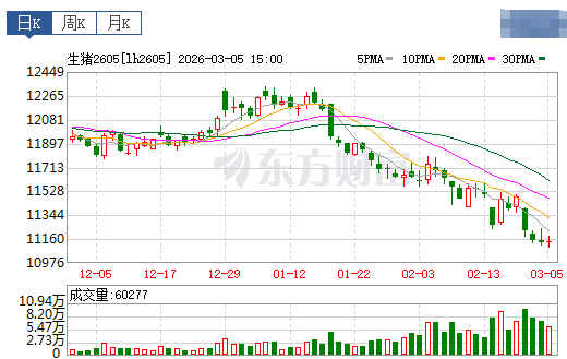 2026.03.06今天猪价行情分析