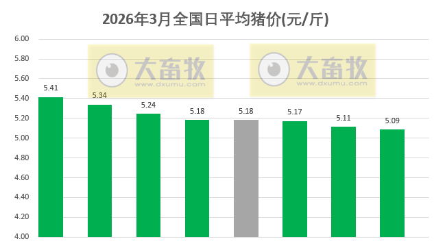 2026.03.08今天猪价行情分析