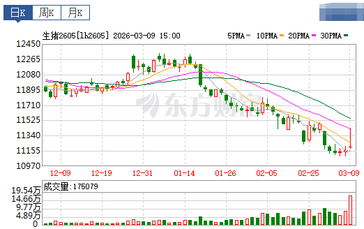 2026.03.10今天猪价行情分析