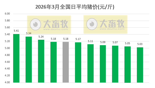 2026.03.11今天猪价行情分析