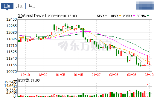 2026.03.11今天猪价行情分析