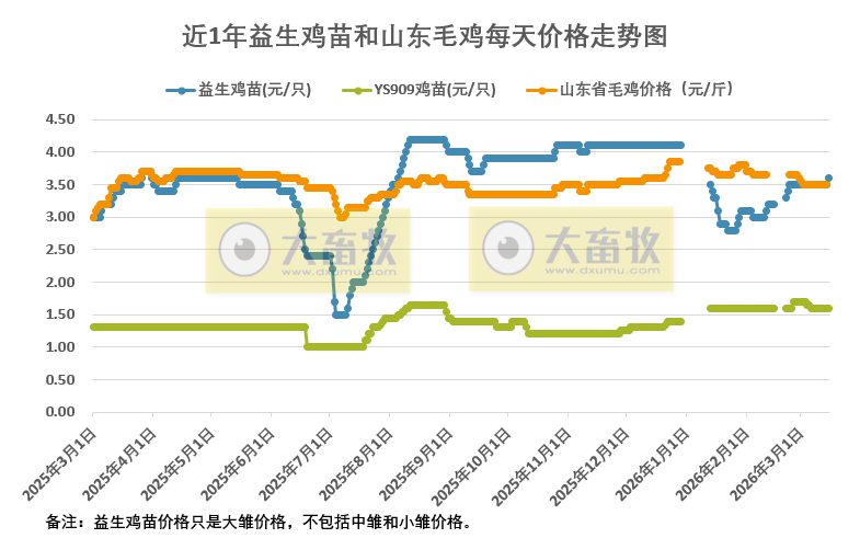 2026年3月15日益生鸡苗和山东毛鸡行情资讯