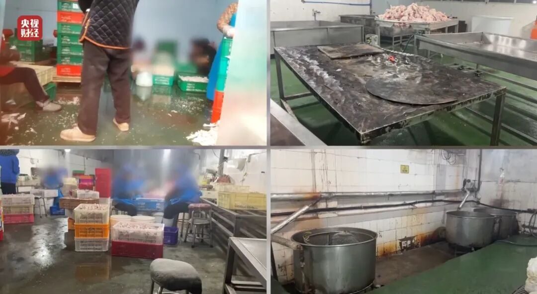 20260316133639640492 20260316133639640492