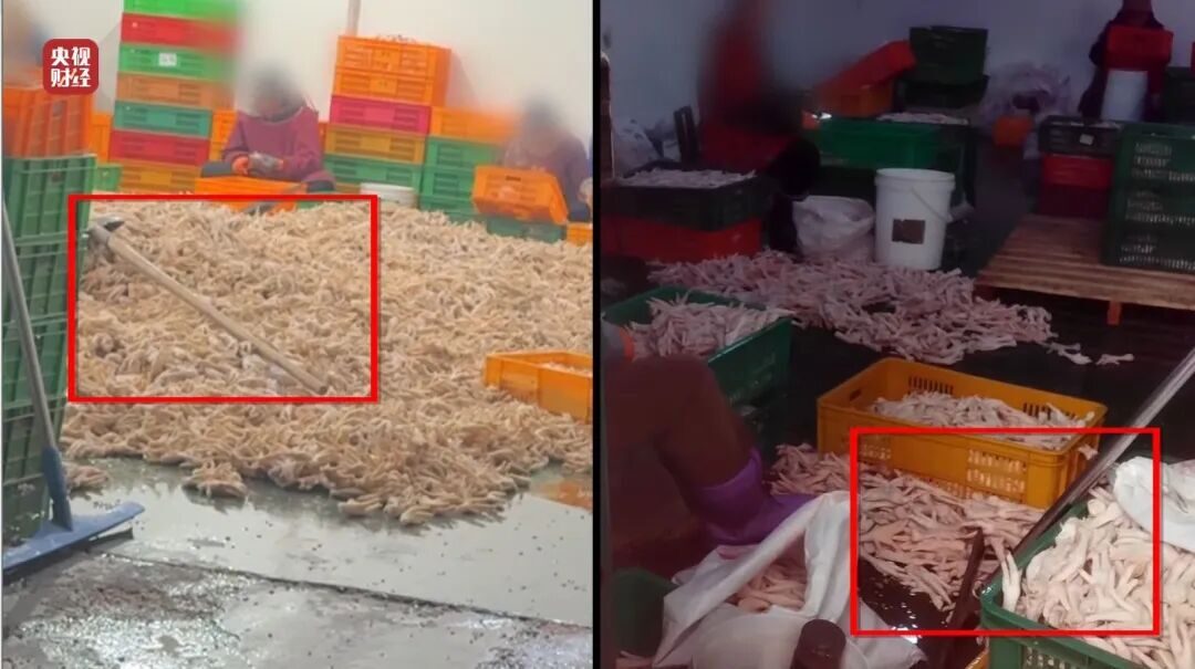 20260316133640640837 20260316133640640837