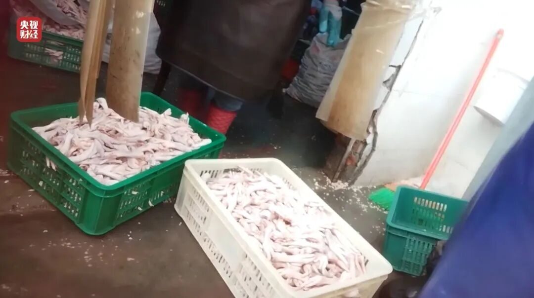 20260316133640640979 20260316133640640979