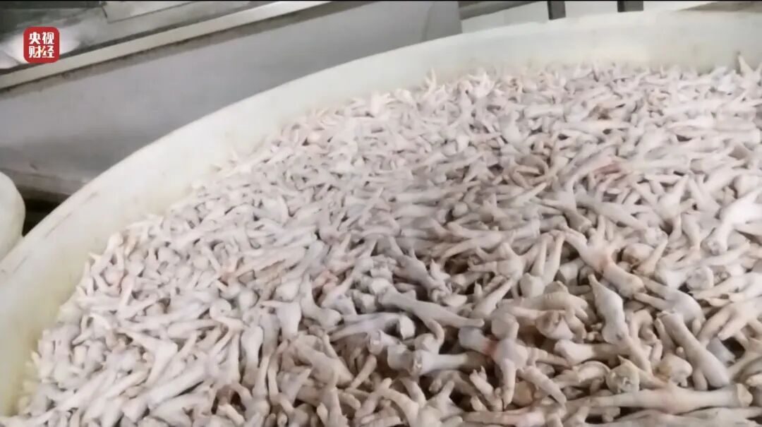 20260316133641640957 20260316133641640957