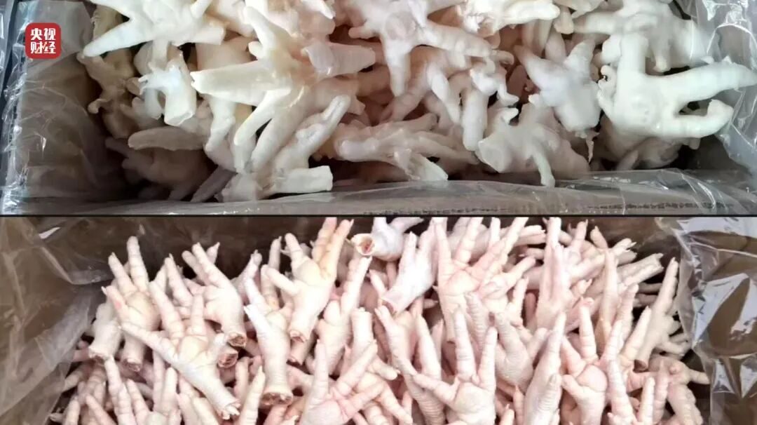 20260316133643640256 20260316133643640256