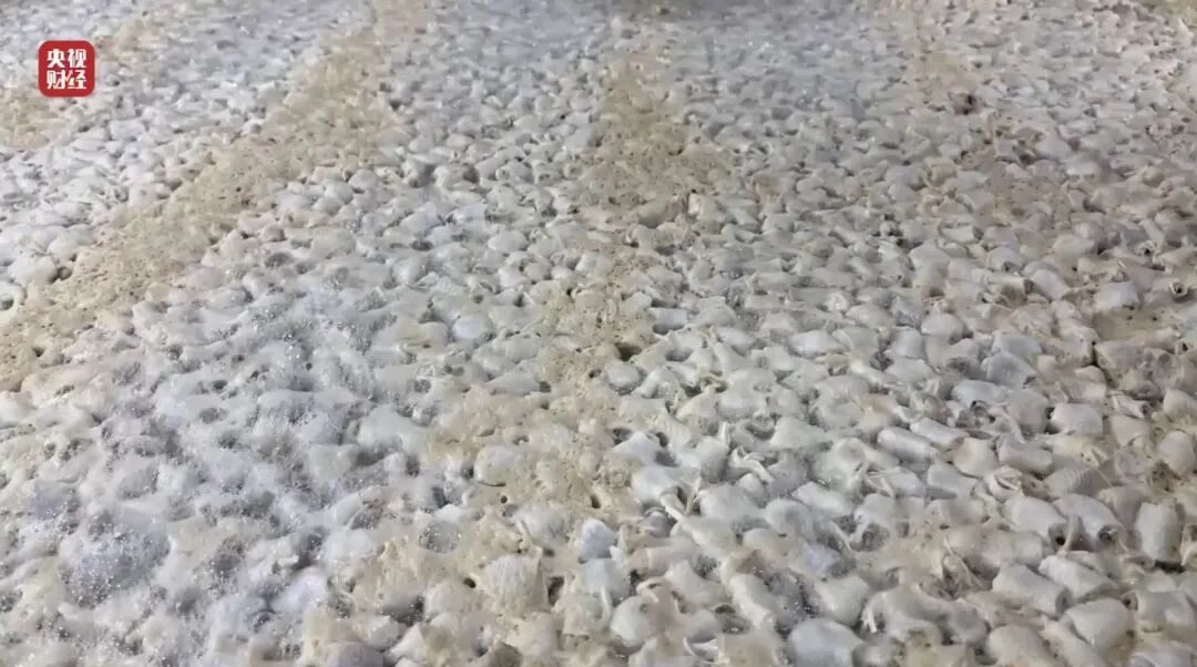 20260316133645640558 20260316133645640558