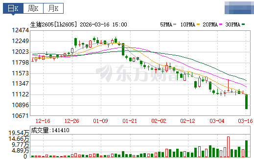 2026.03.17今天猪价行情分析参考