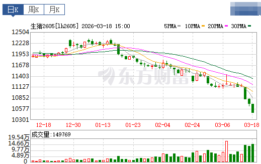 2026.03.19今天猪价行情分析参考