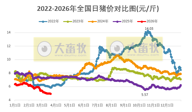 2026.03.20今天猪价行情分析参考，猪价再次创新低，相关部门召开会议要求多家猪企汇报全年生产目标