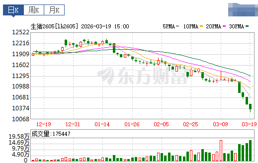 2026.03.20今天猪价行情分析参考，猪价再次创新低，相关部门召开会议要求多家猪企汇报全年生产目标
