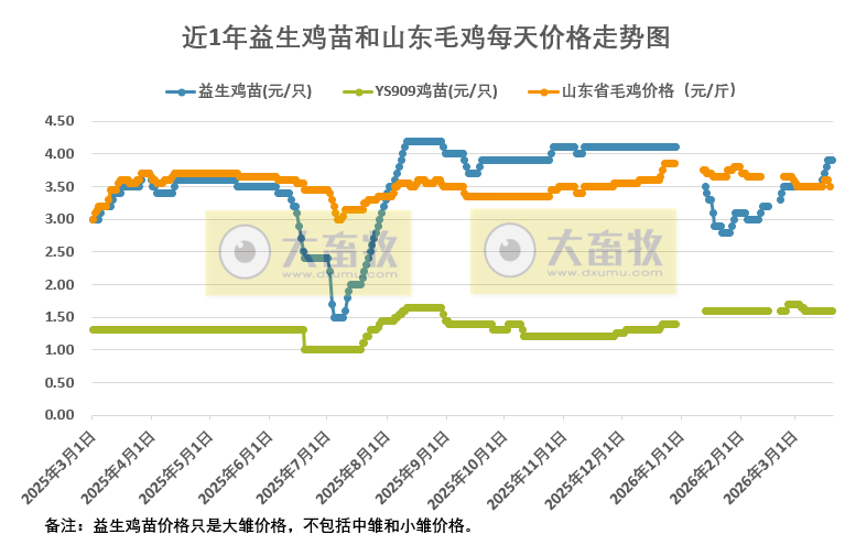 2026年3月20日益生鸡苗和山东毛鸡行情资讯