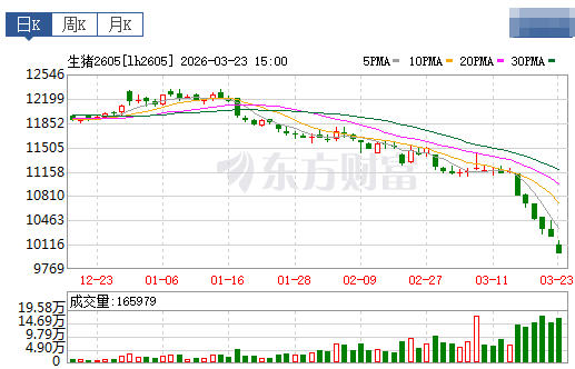 2026.03.24今天猪价行情分析参考
