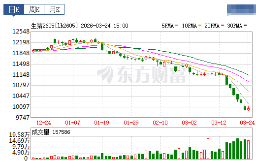 2026.03.25今天猪价行情分析参考