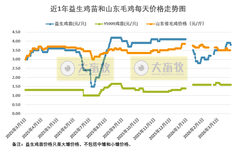 2026年3月25日益生鸡苗和山东毛鸡行情资讯