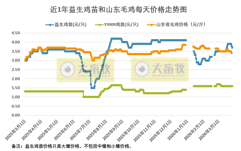 2026年3月26日益生鸡苗和山东毛鸡行情