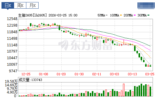 2026.03.26今天猪价行情分析参考