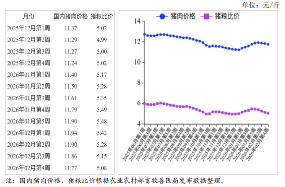 2026年2月国内和国际猪肉市场行情分析——预计短期内猪肉价格下跌，5 月以后猪肉价格或逐步企稳