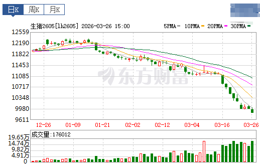 2026.03.27今天猪价行情分析参考