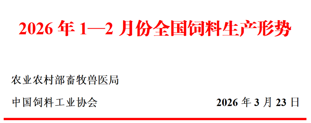 20260326222540640379