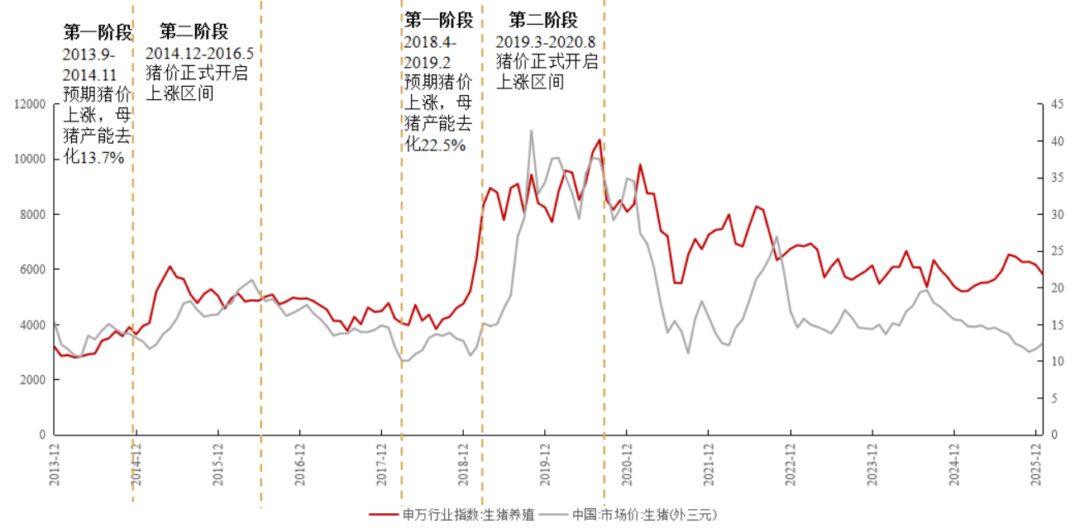 猪价创七年新低！本轮猪周期走到哪儿了，拐点或何时出现？机构一致认为产能去化将加速