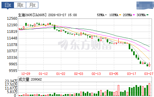 2026.03.28今天猪价行情分析参考