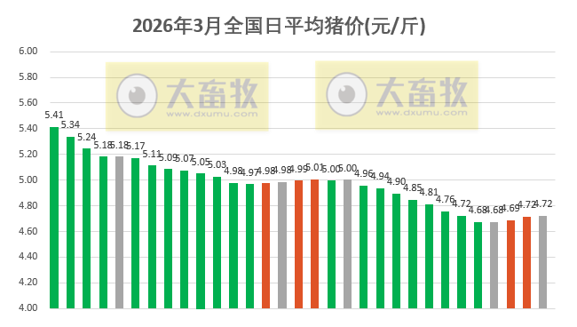 2026.03.31今天猪价行情分析参考