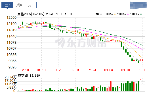 2026.03.31今天猪价行情分析参考