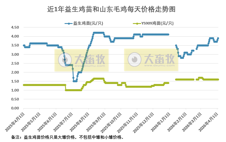 2026年4月2日益生鸡苗和山东毛鸡行情资讯