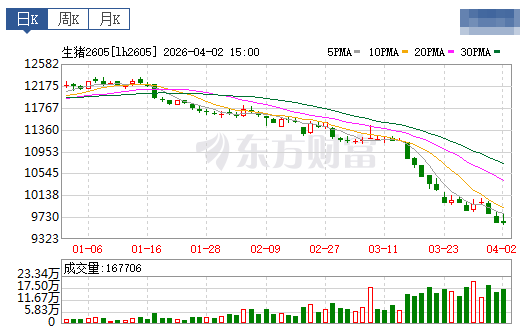 2026.04.03今天猪价行情分析参考