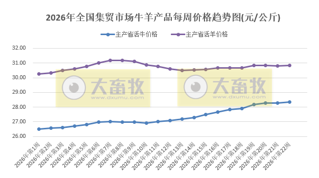 农业农村部发布5月第4周畜禽产品和饲料集贸市场价格情况，仔猪价格连续5周上涨，生猪价格止跌上涨，鸡蛋和牛肉价格阶段性创新高