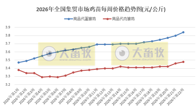 农业农村部发布5月第4周畜禽产品和饲料集贸市场价格情况，仔猪价格连续5周上涨，生猪价格止跌上涨，鸡蛋和牛肉价格阶段性创新高