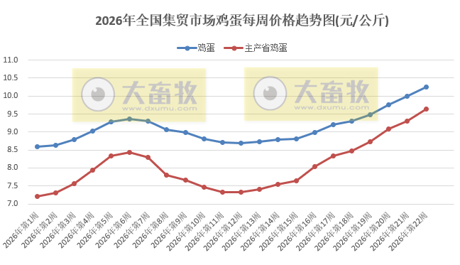 农业农村部发布5月第4周畜禽产品和饲料集贸市场价格情况，仔猪价格连续5周上涨，生猪价格止跌上涨，鸡蛋和牛肉价格阶段性创新高