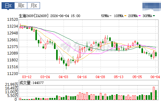 2026.06.05今天猪价行情分析参考